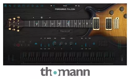 Ample Sound Ample Guitar PF