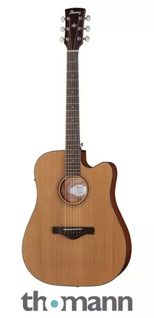 Ibanez AW65ECE-LG