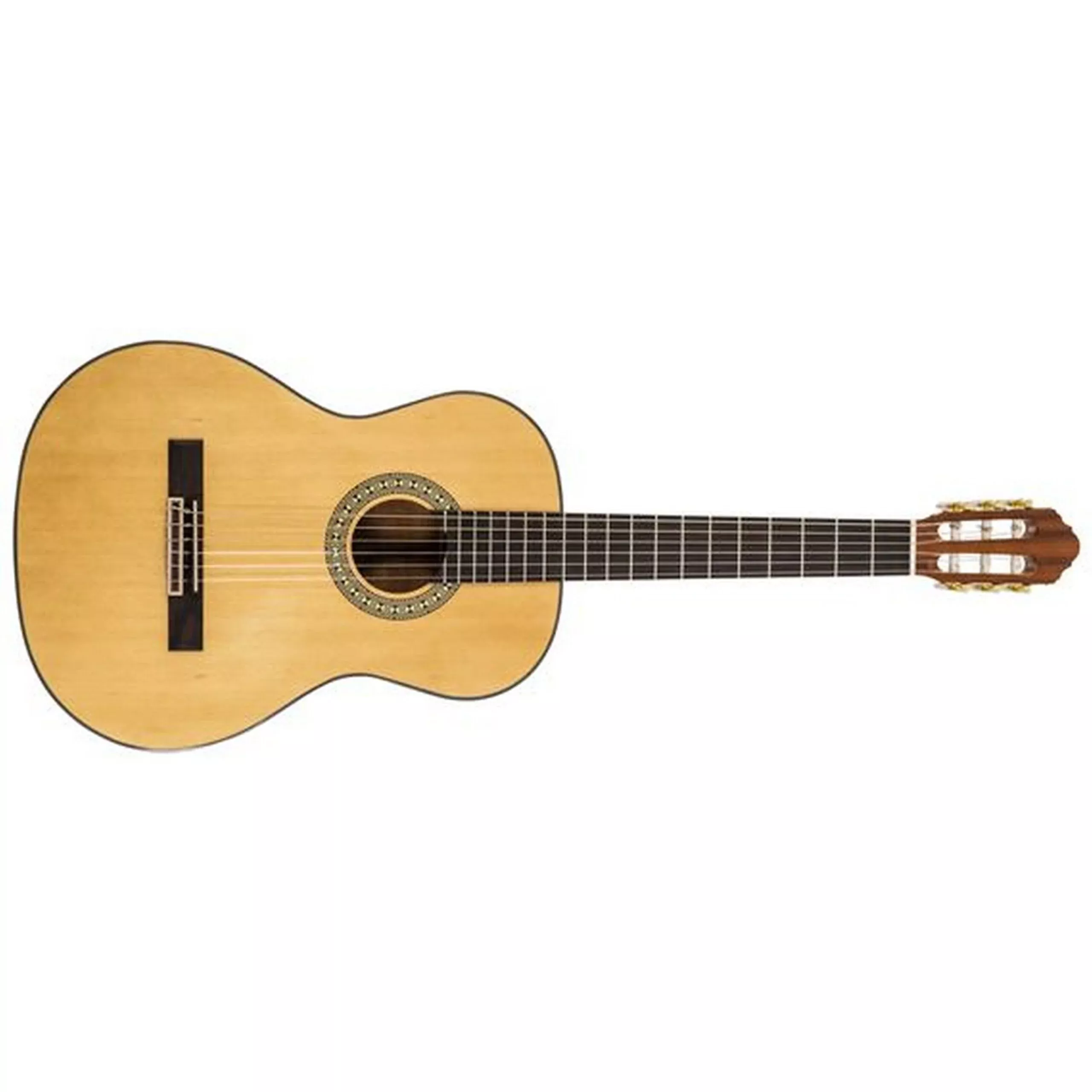 Peavey Delta Woods CNS-1 Classical Nylon String Guitar