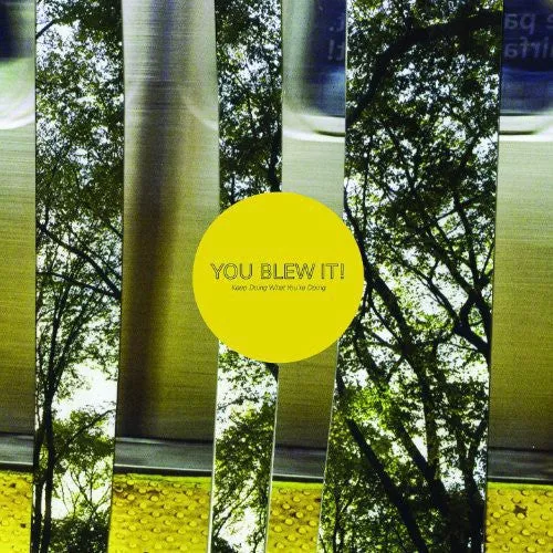 You Blew It!: Keep Doing What You're Doing - VINYL LP